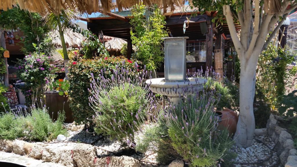 Bed and Breakfast Casa Giuliana Charco del Pino Esterno foto